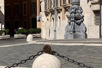 Sciame dapi a Montecitorio transennato pilone allingresso