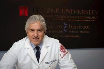 Terra dei fuochi oncologo Giordano Ne marchio ne capitolo di bilancio ferita ancora aperta