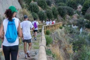Tumori torna Fitwalking for Ail camminata solidale per i pazienti ematologici