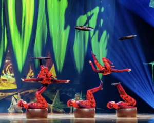 cirque du soleil bergamo