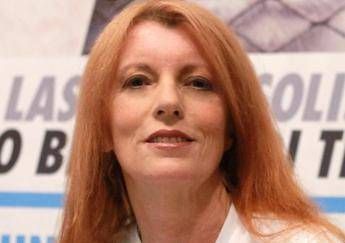 Brambilla adotta Minerva la mucca fuggita da un macello in Brianza Brambilla adotta Minerva la mucca fuggita da un macello in Brianza