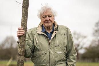 David Attenborough da record a 99 anni vince il Daytime Emmy Award David Attenborough da record, a 99 anni vince il Daytime Emmy Award