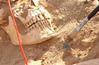 Due batteri sfiancarono lesercito di Napoleone nella campagna di Russia Due batteri sfiancarono lesercito di Napoleone nella campagna di Russia