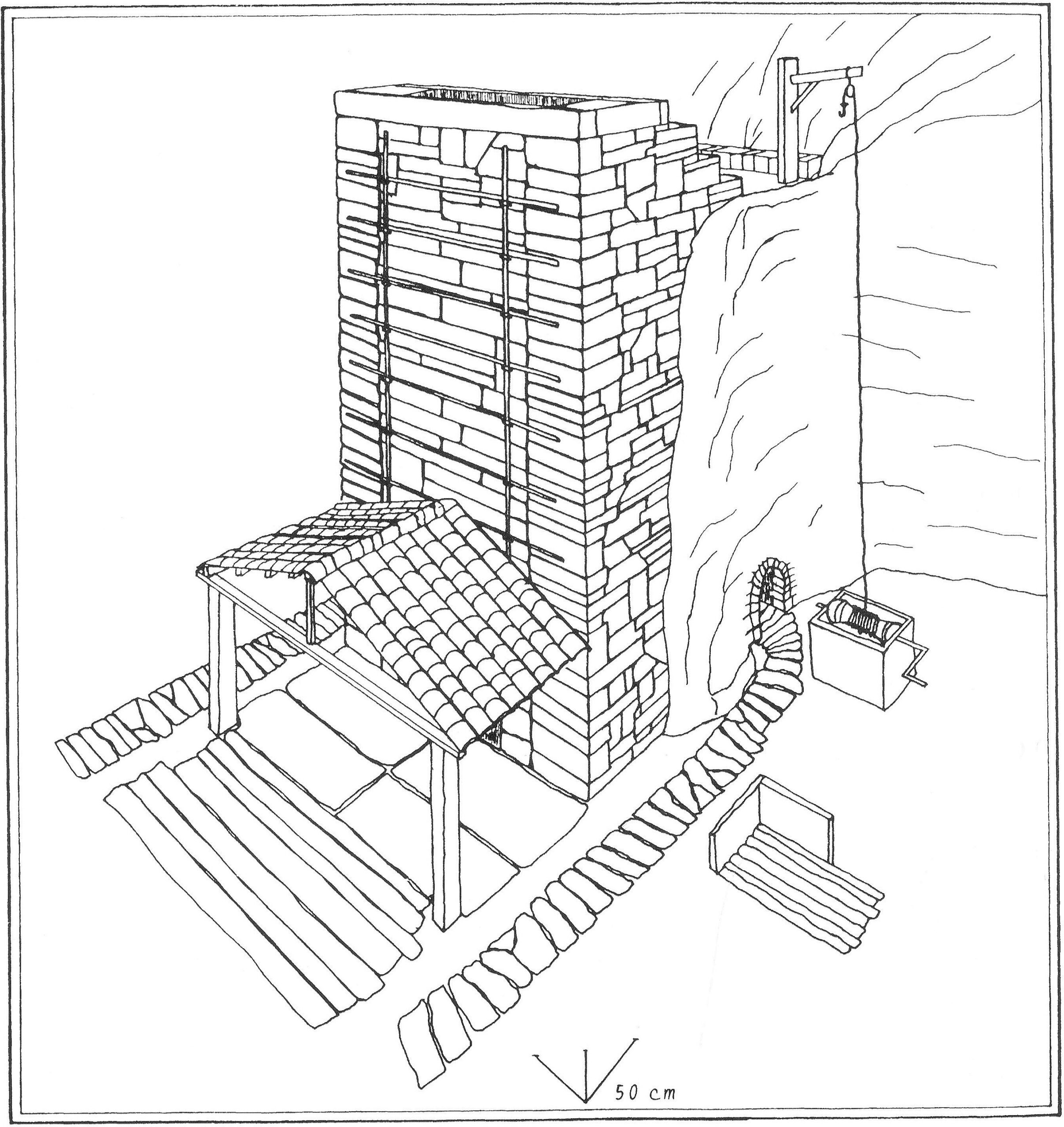 FIG. 10 Copia scaled