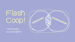 Flash coop cover Flash coop cover