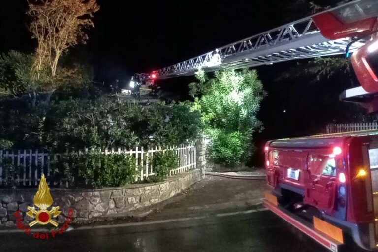 IMG 20251019 WA0003 Incendio mortale a Sarnico: perde la vita una donna, trovato senza vita anche il suo cane