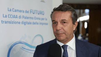 Imprese Albanese Cciaa Palermo Enna Sostenere Pmi in transizione digitale