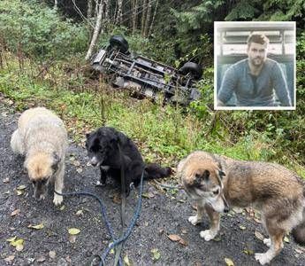 Intrappolato su Vancouver Island salvo grazie ai satelliti di Musk Intrappolato su Vancouver Island salvo grazie ai satelliti di Musk