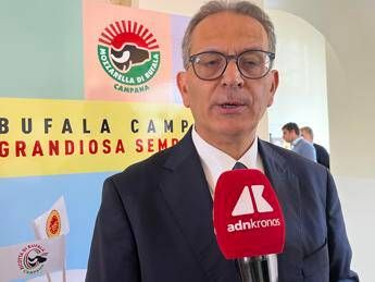 Made in Italy Arcadia Il gusto della mozzarella di bufala Campana Dop conquista web 37 milioni utenti in 2 anni Made in Italy Arcadia Il gusto della mozzarella di bufala Campana Dop conquista web 37 milioni utenti in 2 anni