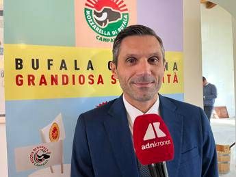 Made in Italy Matricano Univ. Vanvitelli Fare squadra tra Consorzio mozzarella campana Dop imprese e istituzioni