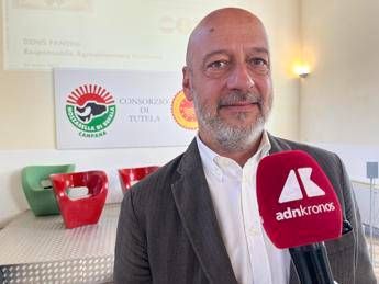 Made in Italy Saccani Mozzarella di Bufala Campana Dop Innovare per restare tradizione Made in Italy Saccani Mozzarella di Bufala Campana Dop Innovare per restare tradizione