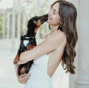 Matrimoni ecco il look per lamico a 4 zampe garantiti comfort qualita e uneleganza senza tempo