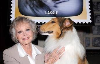 Morta June Lockhart la mamma star di Lassie aveva 100 anni Morta June Lockhart la mamma star di Lassie aveva 100 anni