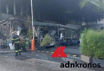 Roma incendio nella notte a Casal Palocco in fiamme il Fred 246 Roma incendio nella notte a Casal Palocco in fiamme il Fred 246