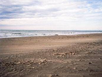 Spiagge a rischio 1 su 5 puo sparire entro il 2050 dove scatta lallarme Spiagge a rischio 1 su 5 puo sparire entro il 2050 dove scatta lallarme