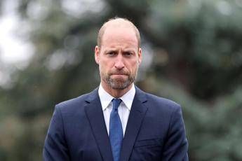 William come sara la monarchia del futuro re Il cambiamento nei miei programmi