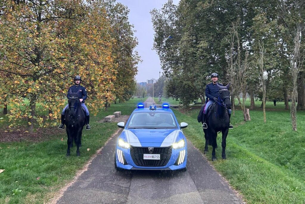 20251102 foto cavalli bola 01