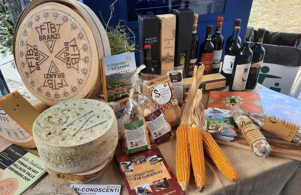 474597118 917872770461192 8380295035510361703 n