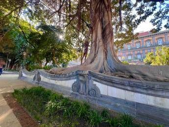 A Napoli rinasce il Giardino Romantico di Palazzo Reale