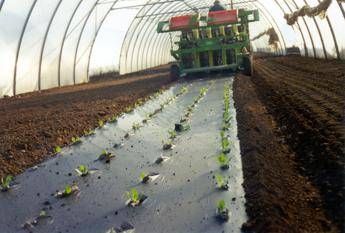 Agricoltura telo Mater Bi ammendante inorganico secondo Regolamento Ue Agricoltura telo Mater Bi ammendante inorganico secondo Regolamento Ue