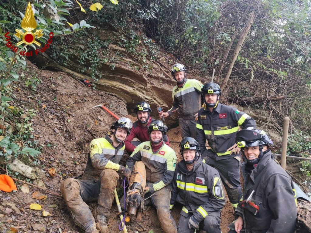 Cane cade in una cavita sotterranea salvato dai Vigili del Fuoco dopo un intervento complesso Cane cade in una cavita sotterranea salvato dai Vigili del Fuoco dopo un intervento complesso