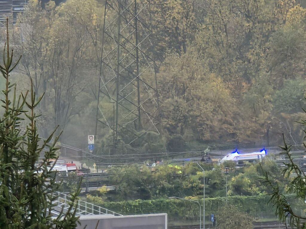 IMG 20251102 135338 336 IMG 20251102 135338 336