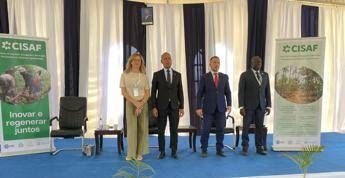 Mozambico inaugurato il CISAF polo di eccellenza per lagroforestazione rigenerativa Mozambico inaugurato il CISAF polo di eccellenza per lagroforestazione rigenerativa