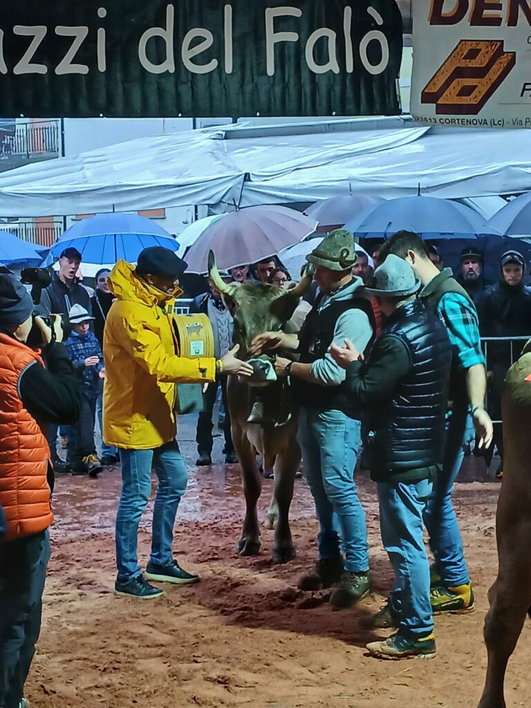 Trezzi ieri a Casargo 2