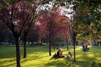 Ultime piogge poi arriva lestate di San Martino in anticipo le previsioni meteo Ultime piogge poi arriva lestate di San Martino in anticipo le previsioni meteo