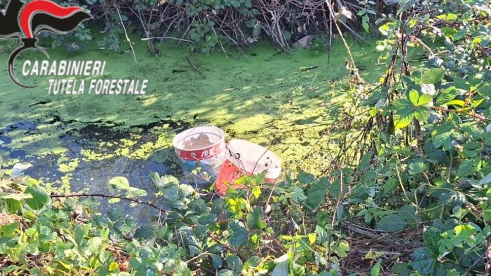 rifiuti illeciti in bergamasca controlli dei carabinieri