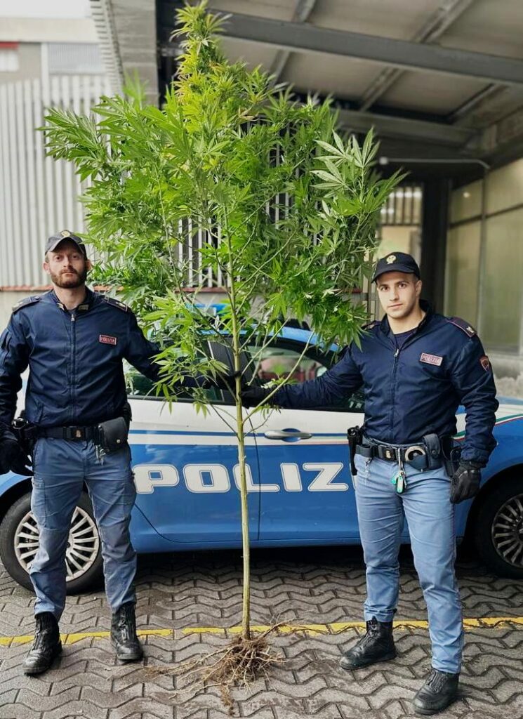 whatsapp image 2025 11 02 at 09.27.01 whatsapp image 2025 11 02 at 09.27.01