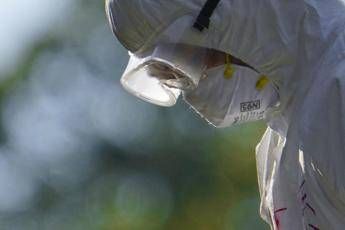 Aviaria lallarme dellEcdc In Europa piu rischi per luomo cosa sta succedendo Aviaria lallarme dellEcdc In Europa piu rischi per luomo cosa sta succedendo