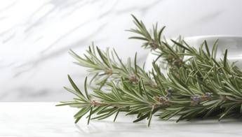 Buccia di limone basilico e rosmarino perche farli bollire e le proprieta segrete