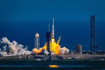 Il segreto per i viaggi nello spazio I funghi di Chernobyl la scoperta