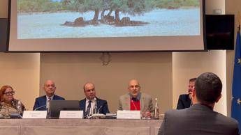 LOlio come civilta presentata la nuova guida LOlio – Itinerari tra uliveti paesi e sapori locali. Sud Sardegna e Oristanese LOlio come civilta presentata la nuova guida LOlio – Itinerari tra uliveti paesi e sapori locali. Sud Sardegna e Oristanese