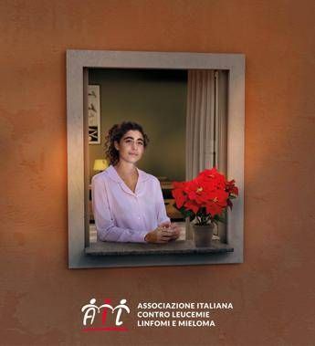 Lotta alle leucemie tornano le stelle di Natale Ail per la ricerca