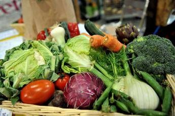 Microbioma alleato contro il mieloma Dieta ricca di fibre puo frenarlo