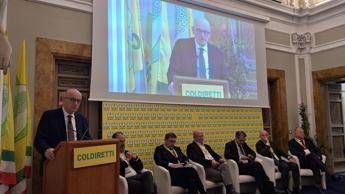 Tabacco Rapporto Maciste per mercato illecito rapida trasformazione digitale Tabacco Rapporto Maciste per mercato illecito rapida trasformazione digitale