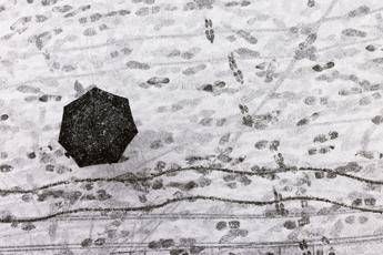 Dal freddo artico al tempestoso Maestrale brusca svolta meteo sullItalia