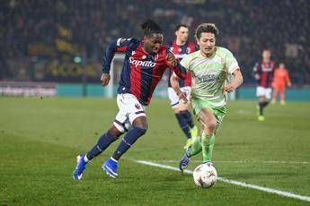 Europa League Bologna Celtic 2 2 Dallinga e Rowe riprendono gli scozzesi