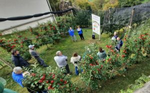 Festa Mela Sagra 2025 86