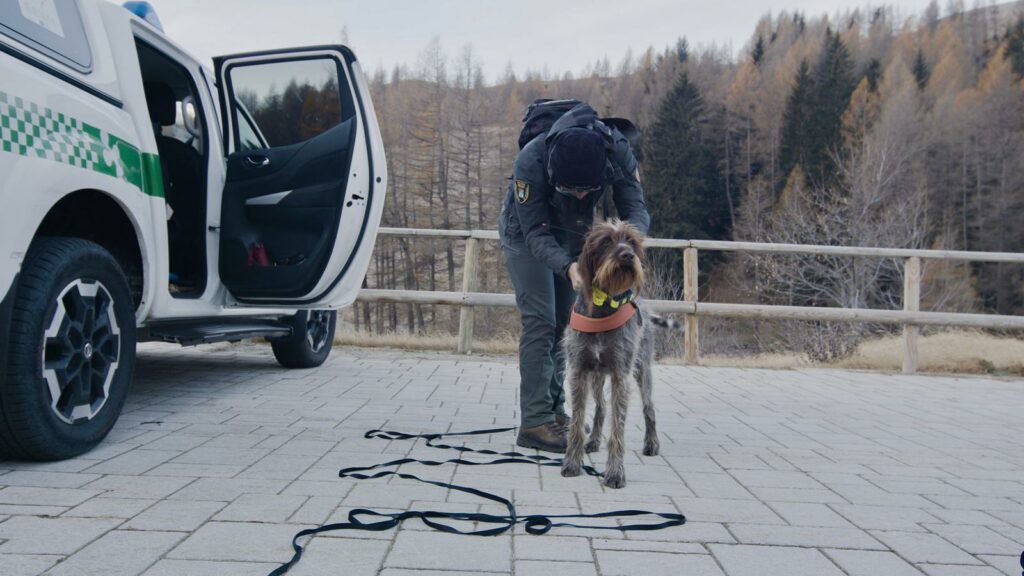 Interventi antiveleni l’unità cinofila della Polizia provinciale al lavoro sul territorio