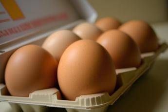 Le uova proteggono il cuore e allungano la vita lo studio