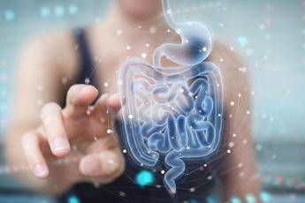 Malattie metaboliche la svolta arriva dallintestino identificato batterio protettivo