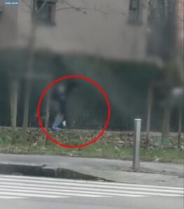 Milano, spaccia e nasconde cocaina sotto le foglie all’interno del parco arrestato dalla Polizia di Stato