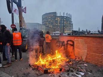 Ue Mercosur il Parlamento Europeo rimanda laccordo alla Corte di Giustizia