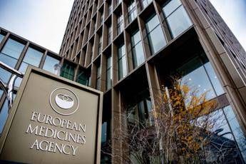 Ema ritira dal mercato dellUe i farmaci contenenti levamisolo quali sono i rischi Ema ritira dal mercato dellUe i farmaci contenenti levamisolo quali sono i rischi