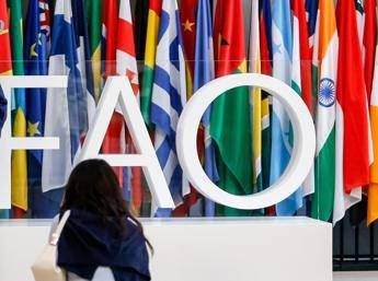 Fao Tajani Italia candida Maurizio Martina alla guida Fao Tajani Italia candida Maurizio Martina alla guida