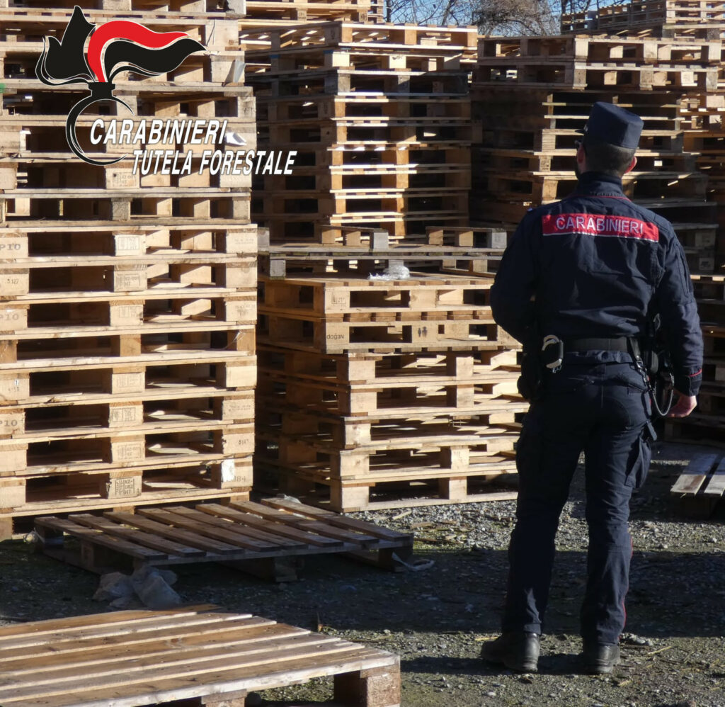 Filiera del legno controlli dei Carabinieri Forestali denunce e sequestri nella Bergamasca
