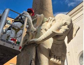 Roma Elefante di Bernini restaurato dopo distacco della zanna Roma Elefante di Bernini restaurato dopo distacco della zanna